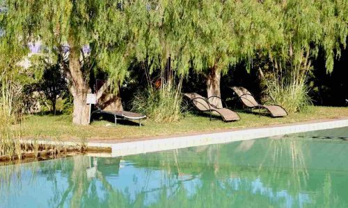 12A9017E-AFAD-4C58-A133-FB9490BE5479-5458-000003233056C602